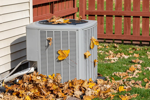 Best Affordable HVAC Services  in Forrest, IL